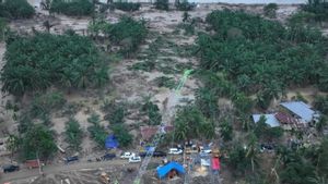 Strategi Cepat Pulihkan Listrik Aceh, Crane jadi Tower Darurat