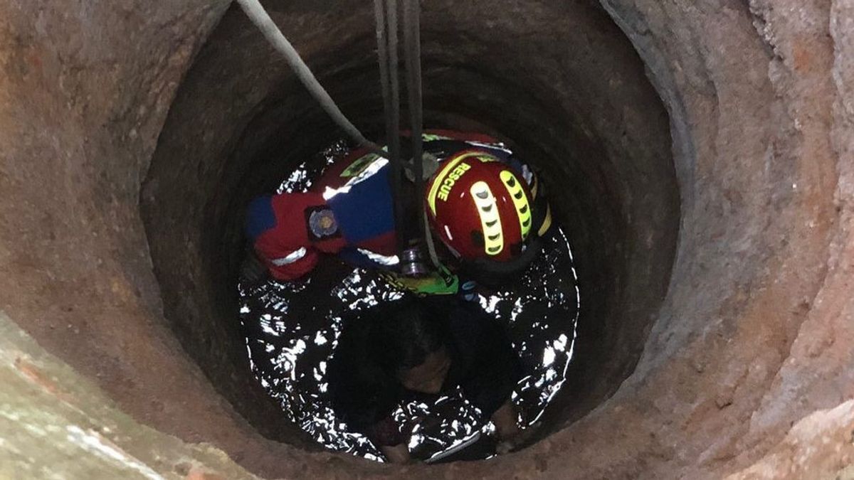 消防队员疏散跳入井中的妇女，据称在寻找她的孩子时出现幻觉