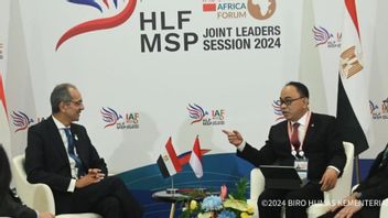 Cooperation Between Indonesia And Egypt Will Focus On Digital Infrastructure Development