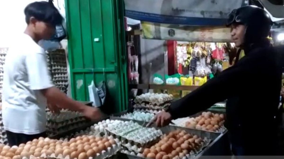 بيض الدجاج في ماكاسار ميمبوس 57-60 ألف روبية إندونيسية لكل راك ، التجار يطلبون من الحكومة تثبيت الأسعار