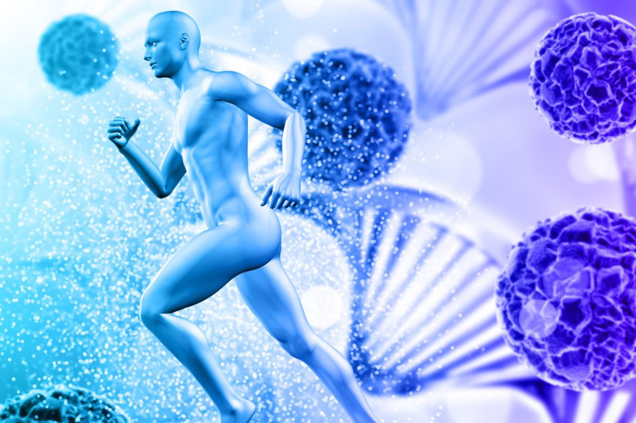 昼夜节律是什么?了解身体生物工作时间的重要性