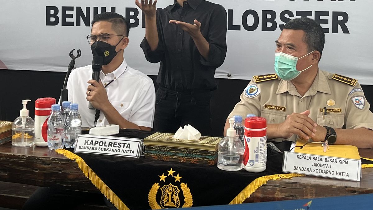 Smuggling Of Lobster Seeds Worth IDR 4.1 Billion Successfully Foiled