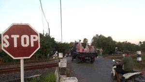 Kondisinya Berbahaya Rawan Kecelakaan Makan Korban, Tapi Belum Ada Anggaran Jaga Perlintasan Sebidang Kereta Api di Cirebon