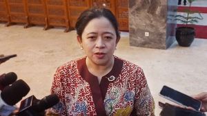 Cak Imin Usul Kepala Daerah Dipilih Tak Langsung, Puan: Masih Wacana