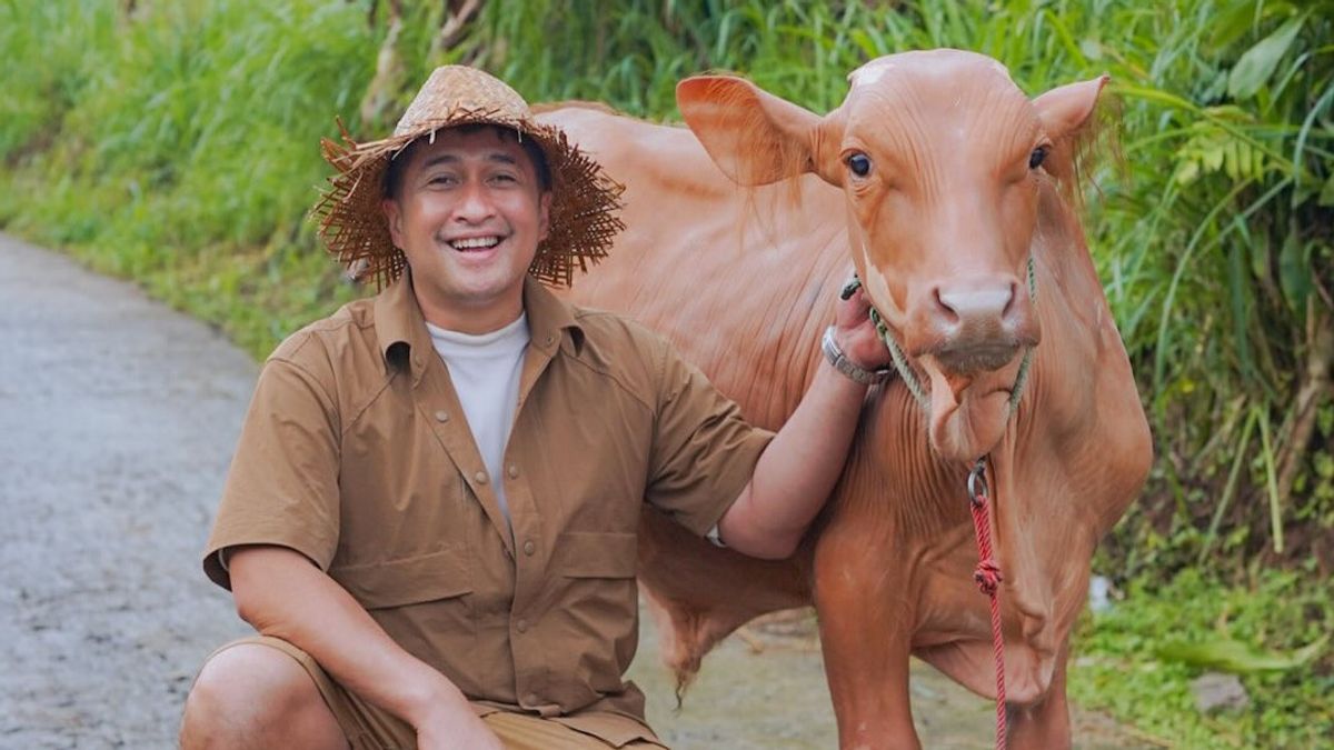 Irfan Hakim Reveals He Was Given Prabowo Subianto's Cow Before Eid al-Adha