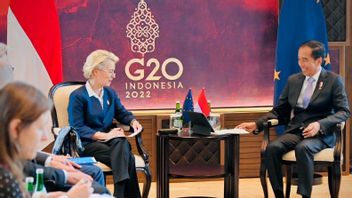 Bertemu dengan Ursula Von Der Leyen, Jokowi Tagih Realisasi Investasi European Investment Bank di Indonesia