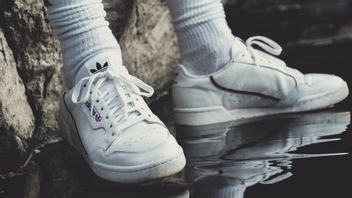 雨水和洪水导致湿鞋的鞋靴干燥技巧