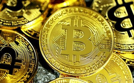 Pria Ini Kehilangan 8.000 Bitcoin Setelah Buang Hard Drive Pada 2013, Begini Nasibnya Saat Ini!