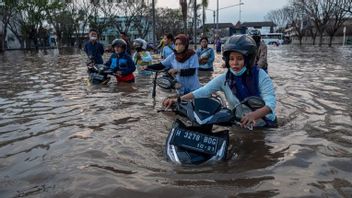 DPRD تطلب من Walkot Ita تحقيق اختراق جديد للتغلب على فيضان Semarang Rob