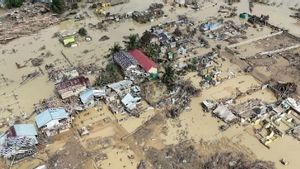 Bencana Sumatera Ancam Ketahanan Pangan Daerah