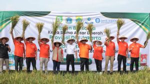 Perkuat Pasokan, Pemprov DKI Jakarta dan Pemkab Cianjur Gelar Kerja Sama Ketahanan Pangan