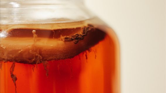 Kombucha, Est-ce Vraiment Bon Pour La Santé De L’estomac? Connaître Les Faits