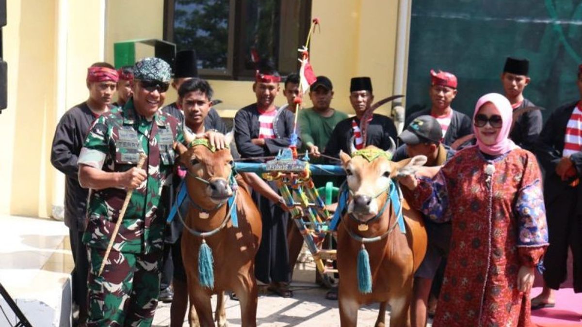 Karapan Sapi Piala Panglima TNI 2023: Menyupuk kebanggaan dan Warisan Budaya Madura