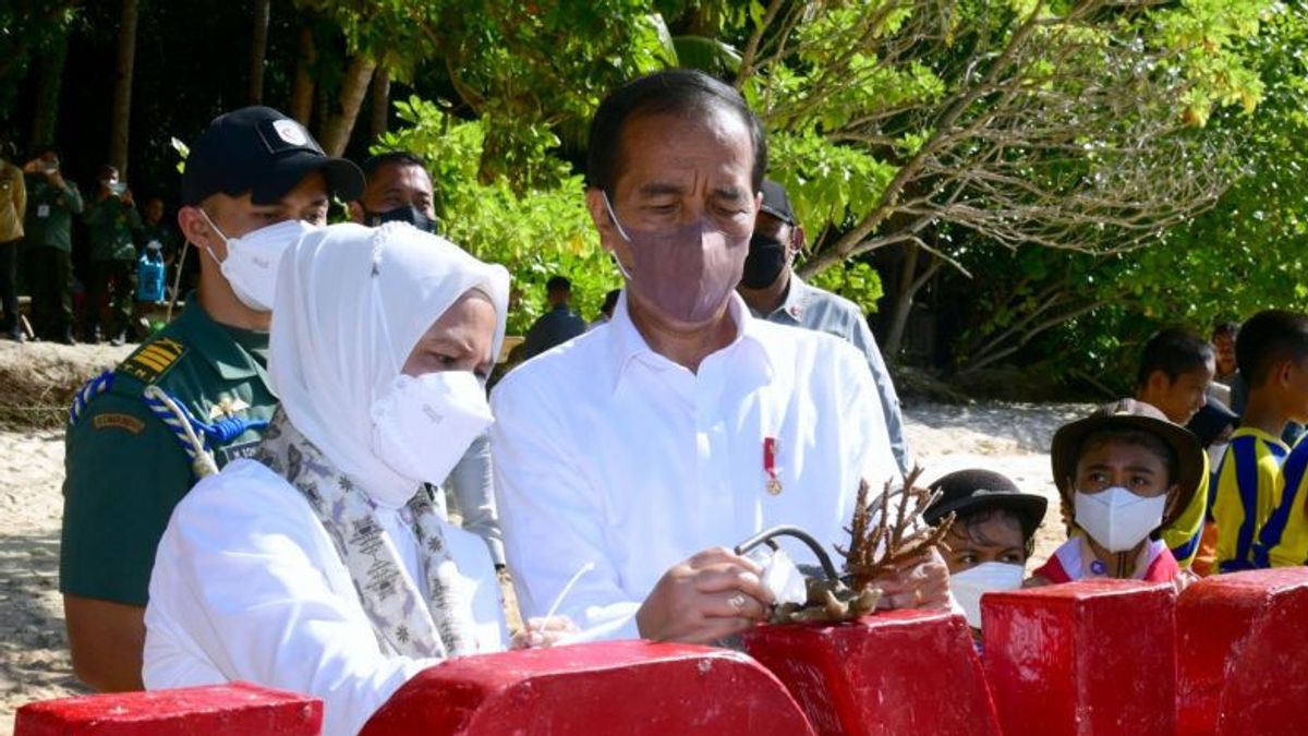 President Jokowi Reminds The Importance Of Protecting Wakatobi Coral Reef