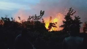 Dua Lahan Gambut di Kota Singkawang Terbakar