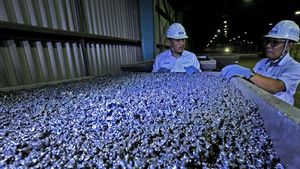 Pemerintah Diminta Tinjau dan Kembali Naikkan Kuota Produksi Batu bara dan Nikel