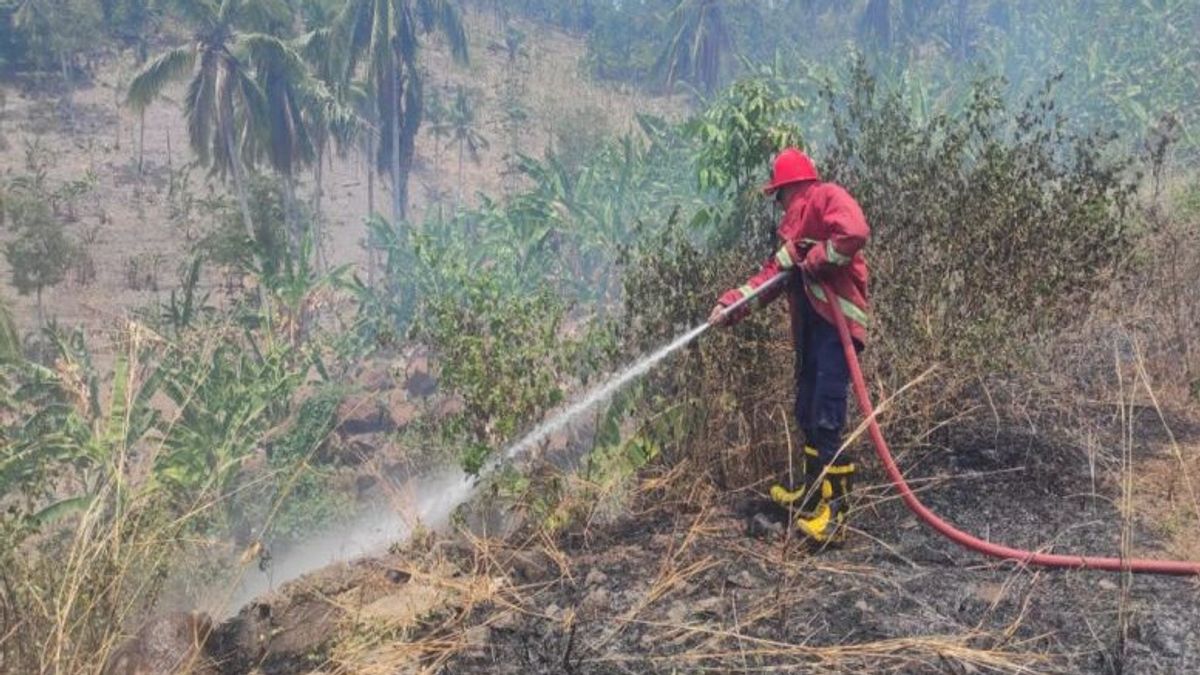122 Forest And Land Fires Occurred In South Lampung In 10 Months, The Most In Kalianda District