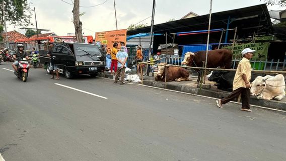 Sidewalk Taken Over By Sacrificial Animal Traders, Central Jakarta Mayor's Order As Ignored