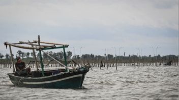 Ancaman Kerusakan Ekologi dan Kehidupan Masyarakat Lokal Akibat Pagar Laut Ilegal di Tangerang