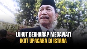 Hanya Megawati yang Tidak ikut Upacara 17-an di Istana, Ini Respons Luhut 