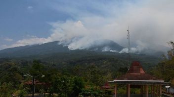 BPBD: 9,607 Meter Eiran On Mount Lawu Prevents Forest And Land Fires To Settlements