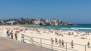 Pahlawan yang Rebut Senjata Penembak di Bondi Sydney Dapat Donasi Sampai Rp5,6 Miliiar