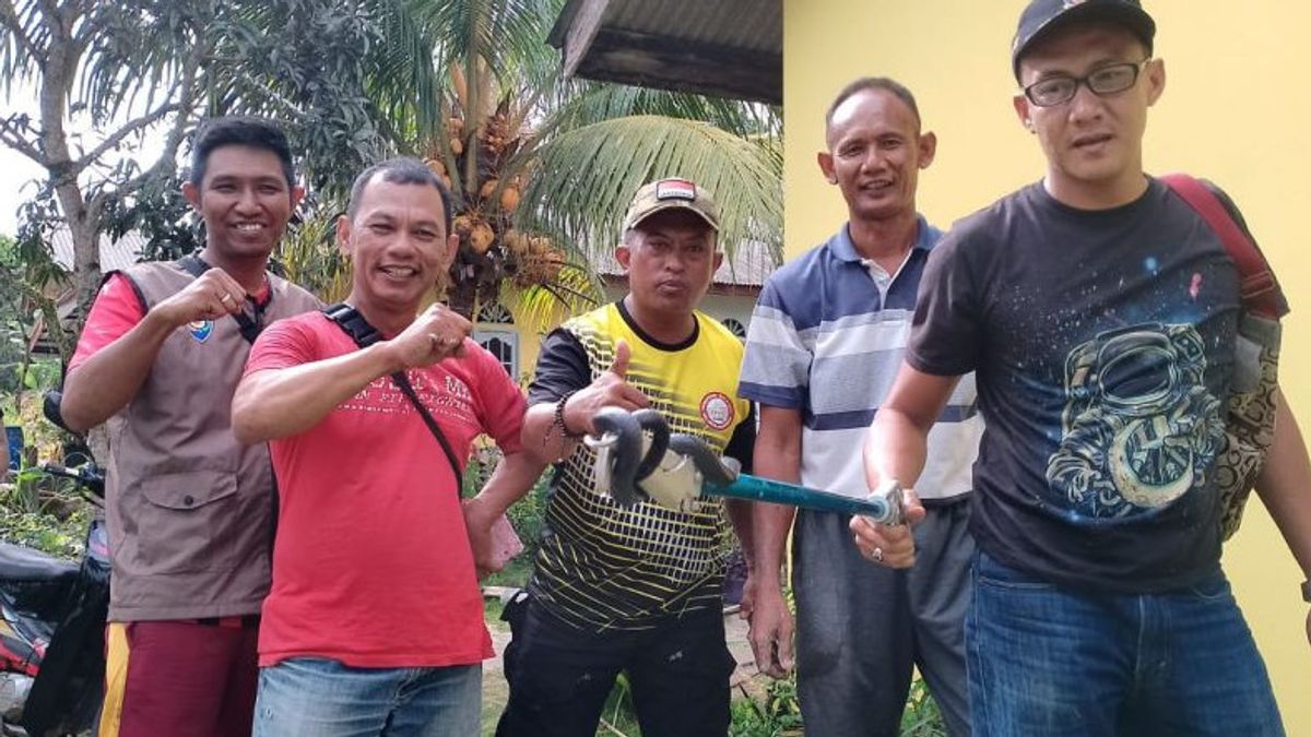 Firefighters Evacuate Cobras Entering Sei Lekop Residents' Wells, East Bintan