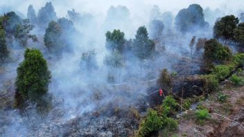 Kemenhut, 라이우의 카르후트라 소지의 끄기, 화재가 확산하지 않도록 보장