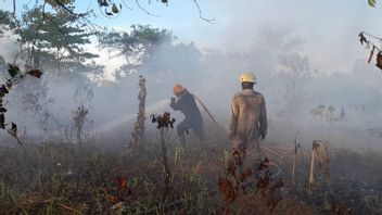 1,5 Hektare Lahan di Perumahan TNI AL Kepri Kebakaran, Api Padam Usai Diguyur 2 Mobil Damkar