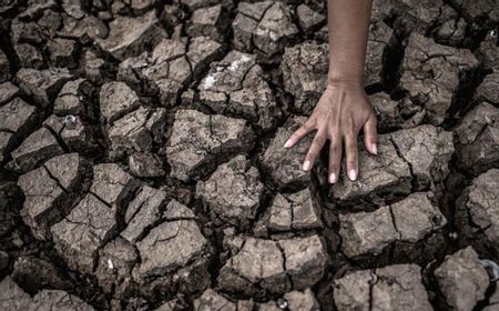 8 Kecamatan di Lebak Terdampak El Nino, BPBD Salurkan Air Bersih untuk Minum dan Masak