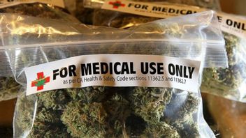 NasDem立法者：草药大麻没有临床试验，担心滥用