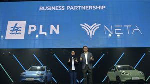 Neta Bermitra dengan PLN untuk Siapkan Fasilitas Pengisian Daya Kendaraan Listrik