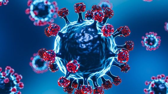 Lima Anak di Riau Meninggal Akibat Flu Babi, Ini Gejala yang Harus Diwaspadai
