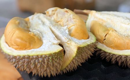 Peristiwa Heboh di Kantor Pos Jerman Tegaskan Resistensi terhadap Durian