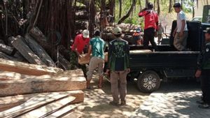 KLHK Secures 3 Perpetrators Of Illegal Logging Wood Processing In The Baluran National Park