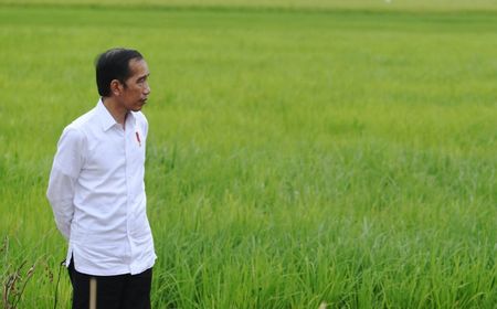 Presiden Jokowi: Pemerintah Berupaya Jaga Keseimbangan Harga Komoditas Pangan