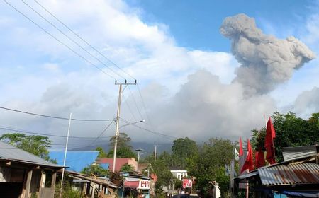 Gunung Ibu Erupsi, Muntahkan Abu 1.500 Meter ke Selatan