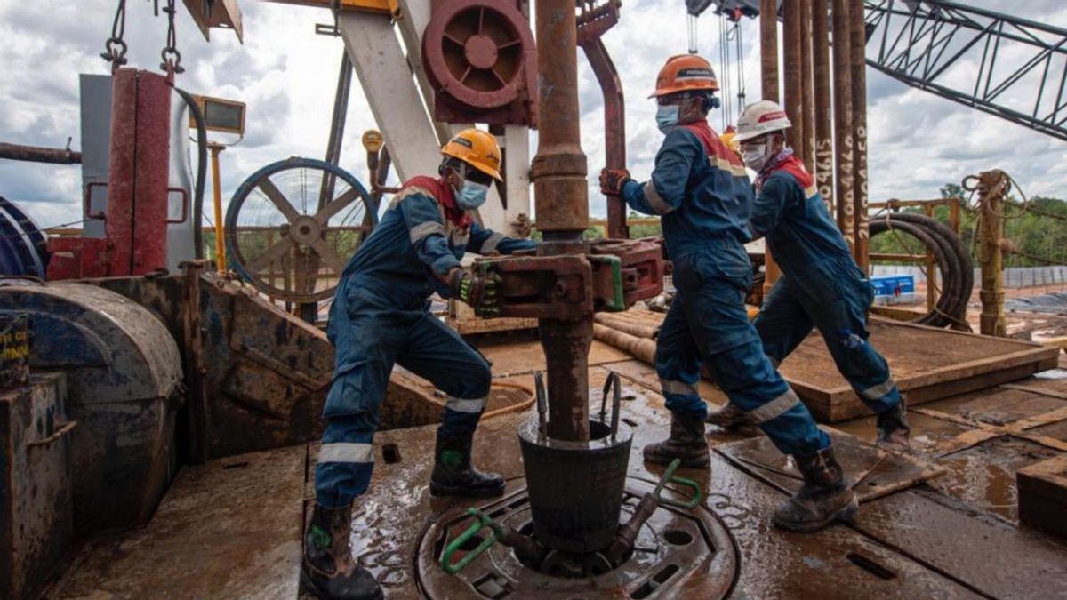 カレドスコップ2023:強迫的な掘削、これらはインドネシアの油井とガス井の多くの調査結果です
