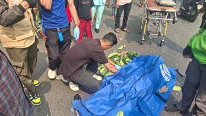Warga Paseban Tewas Tertimpa Pohon saat Melintas di Jalan Benyamin Sueb Kemayoran