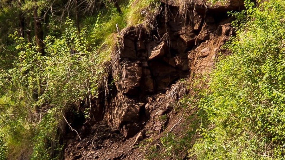 Landslide Material In West Pasaman As High As 4 Meters, Handling Involves 30 Police Personnel