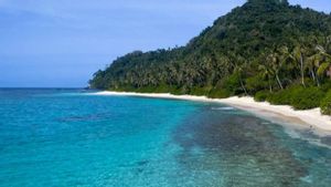Datangkan Wisatawan, Pemprov Kepri Jadikan Pulau Senua Sebagai Pusat Konservasi Penyu