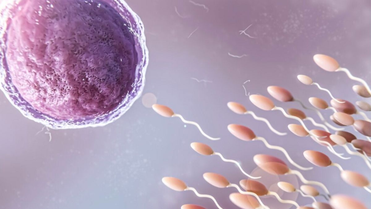 科学者たちは、COVID-19感染が精子のRNAと子供の脳に影響を与える可能性があることを発見しました