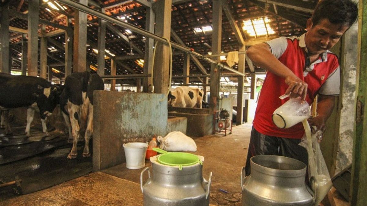 P2SDN Presidential Instruction Instruction Is Needed To Accelerate Milk And Meat Production