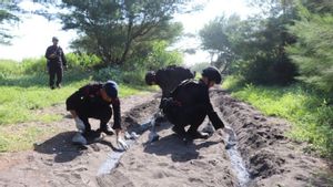 警察、デポックバントゥルビーチで31kgの爆竹原料粉末を破壊
