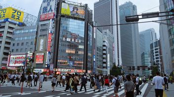 Babysitter Fluent in Foreign Languages, a New Service in Japan for Rich Tourists