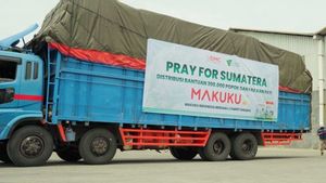 Peduli Bayi dan Anak-anak, Donasi 300 Ribu Popok dan Pakaian untuk Korban Banjir Sumatera
