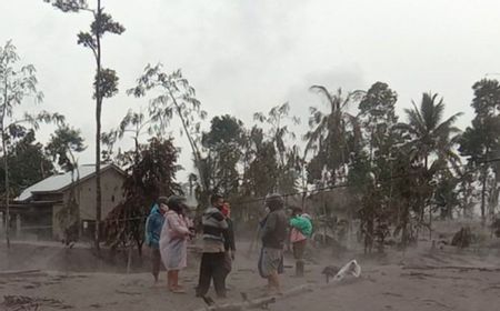 2.219 Pengungsi Akibat Erupsi Semeru Ditampung di 12 Lokasi, BPBD Jatim Terus Distribusikan Bantuan Hingga Malam Ini