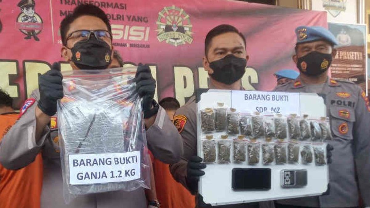 Karyawan Koperasi Pengedar 1 Kg Ganja di Cirebon Ditangkap