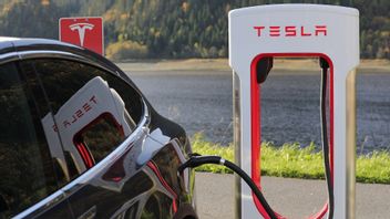 Tesla Choose India Over Indonesia, BKPM: Don't Be Pessimistic, This Stuff Still Ongoing