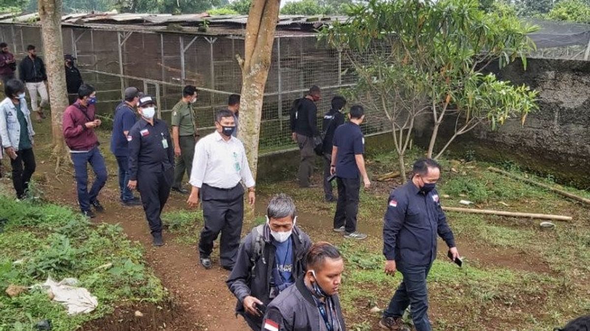 Polri Sita 184 Satwa Dilindungi dari Penangkaran di Cicurug Sukabumi